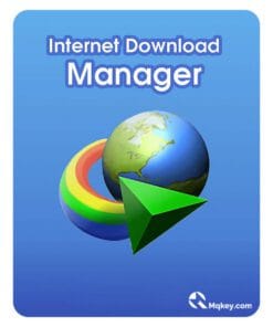 Internet Download Manager (IDM)