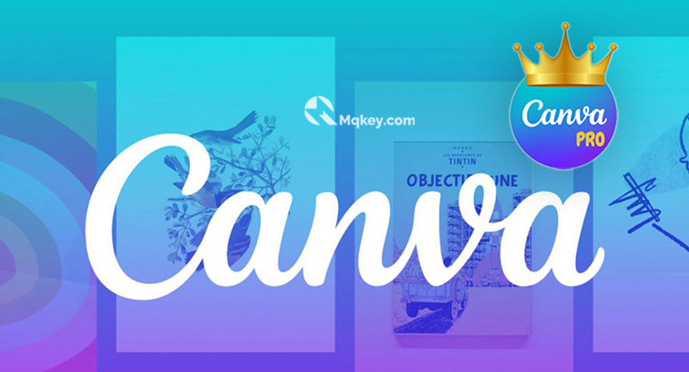 canva pro là gì