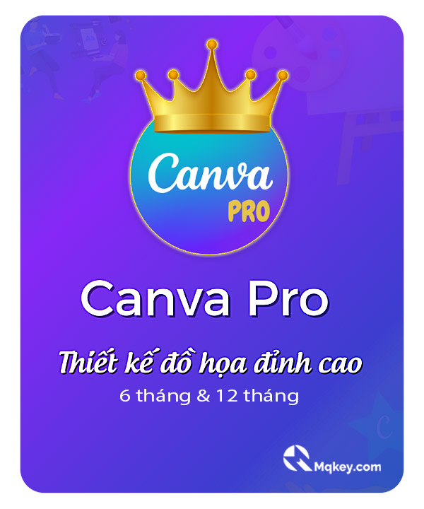 mua và nâng cấp tài khoản canva pro edu