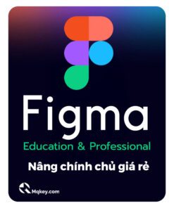 mua figma pro edu