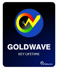 goldwave key